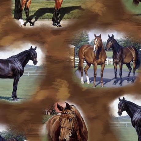 Horse Country